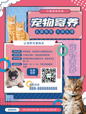 宠物宣传海报模板-宠物宣传海报模板在线设计-图司机