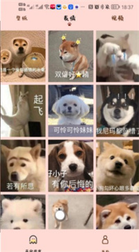 汉克狗app宠物服务平台app下载 v1.0