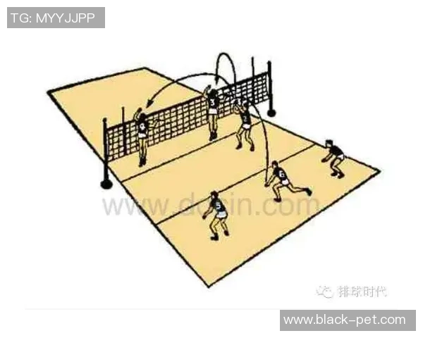 上海排球队的战术解析与深度控制策略探讨