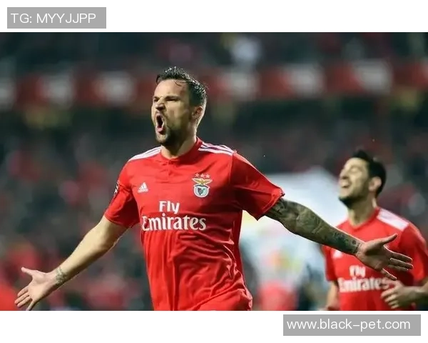 足球明星进场时刻精彩瞬间视频素材合集尽享激情与荣耀 足球明星进场时刻精彩瞬间视频素材合集尽享激情与荣耀