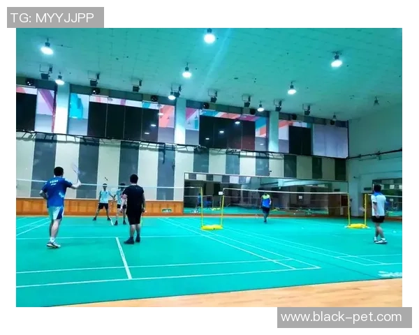 重庆羽毛球队的速度之美：探索羽毛球运动的魅力与发展