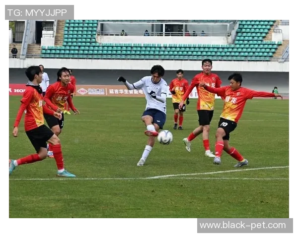 上海足球队个人能力深度解析与战术运用探讨