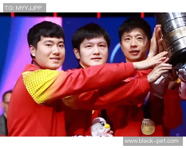 乒乓球盛宴：深入武汉乒乓球队的团队合作与精神探索