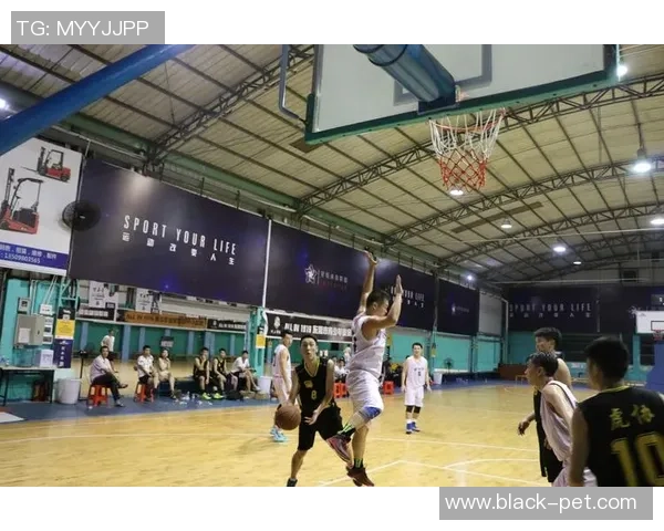 广州排球队在钻石联赛中的转型与挑战探索新篇章