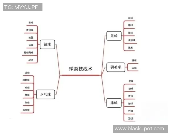 成都篮球队进攻体系解析:战术运用与团队配合的深度剖析 成都篮球队进攻体系解析:战术运用与团队配合的深度剖析