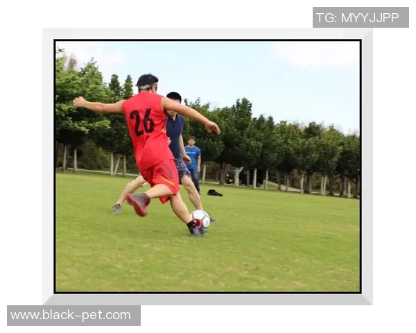 绘制足球明星的精彩瞬间视频，展现他们的风采与激情