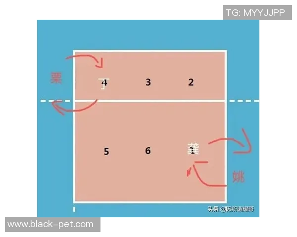 西安排球队灵活性探讨：如何提升排球战术应变能力与团队协作