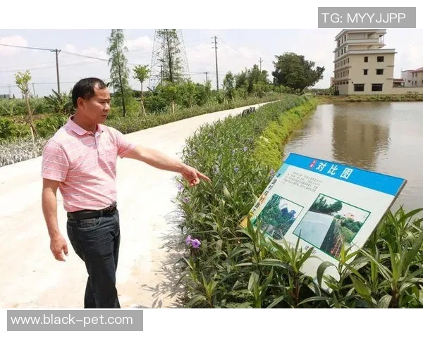 重庆羽毛球队逆袭之路:从困境中崛起的奋斗故事与未来展望 重庆羽毛球队逆袭之路:从困境中崛起的奋斗故事与未来展望