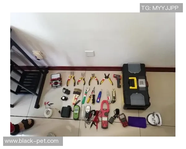 从零起步掌握乒乓球配合技巧的全面指南与实战经验分享 从零起步掌握乒乓球配合技巧的全面指南与实战经验分享