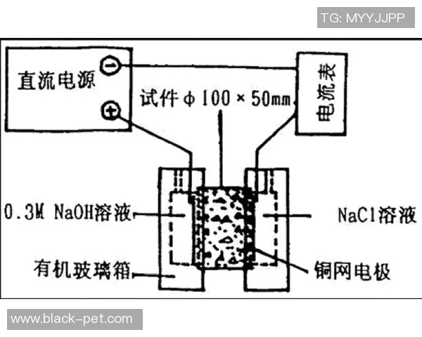 成都羽毛球队边路渗透战术分析及其对比赛结果的影响探讨