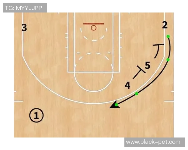 篮球节奏实力榜单权威发布揭示各队真实实力与战术风格