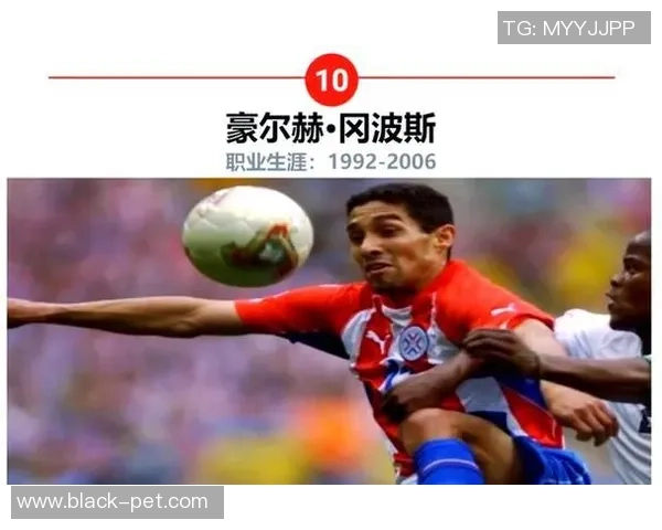 足球明星的辉煌历程与成就解析精彩瞬间回顾与未来展望 足球明星的辉煌历程与成就解析精彩瞬间回顾与未来展望