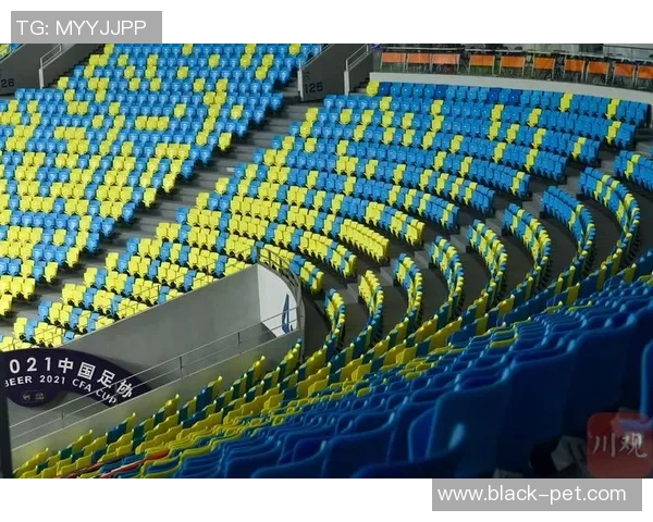 成都足球队总决赛精彩表现分析团队协作的重要性与未来展望