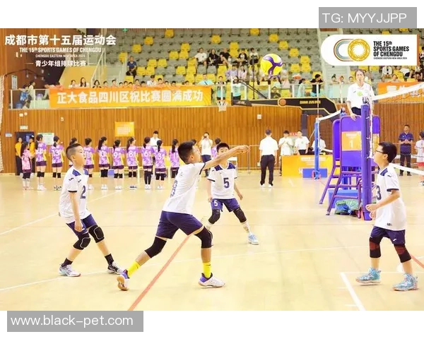 成都排球队耐力对比深度解析与训练策略探讨