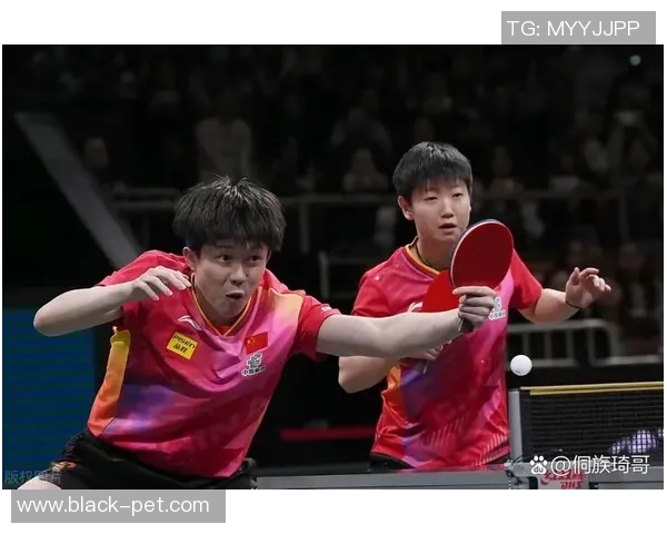 成都乒乓球队在世界杯上的精彩表现与力量解析