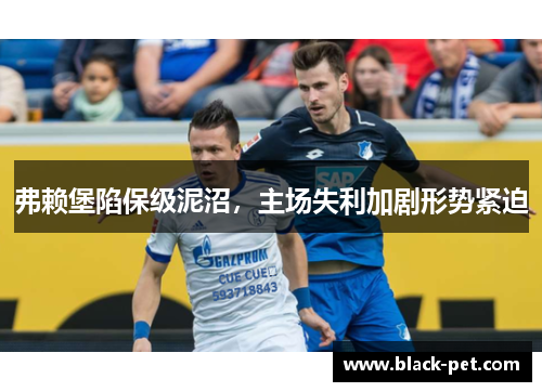 弗赖堡陷保级泥沼，主场失利加剧形势紧迫