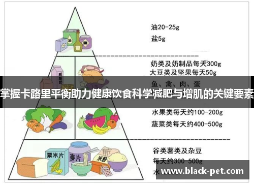 掌握卡路里平衡助力健康饮食科学减肥与增肌的关键要素