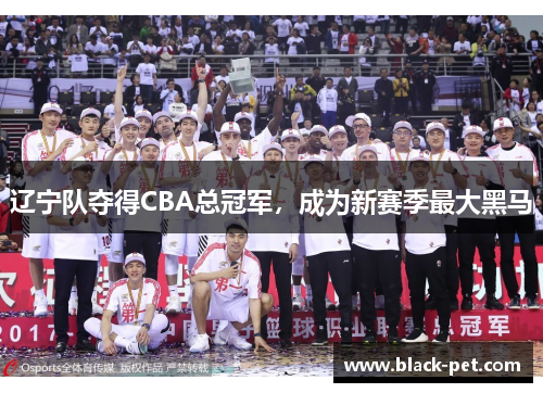 辽宁队夺得CBA总冠军，成为新赛季最大黑马