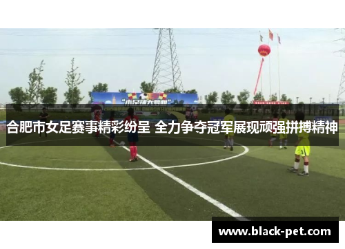 合肥市女足赛事精彩纷呈 全力争夺冠军展现顽强拼搏精神
