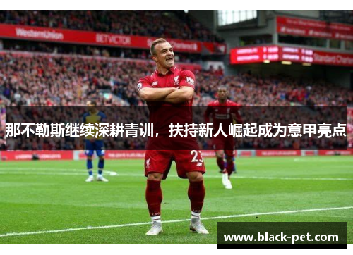 那不勒斯继续深耕青训，扶持新人崛起成为意甲亮点