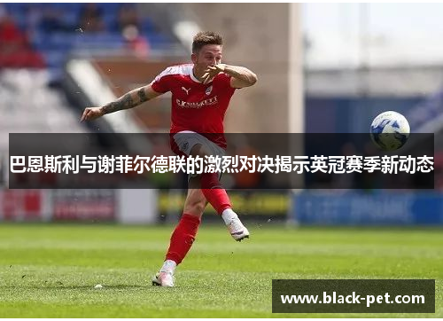 巴恩斯利与谢菲尔德联的激烈对决揭示英冠赛季新动态