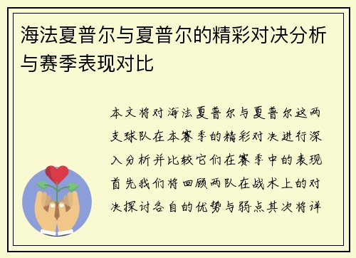 海法夏普尔与夏普尔的精彩对决分析与赛季表现对比