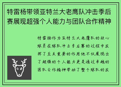 特雷杨带领亚特兰大老鹰队冲击季后赛展现超强个人能力与团队合作精神
